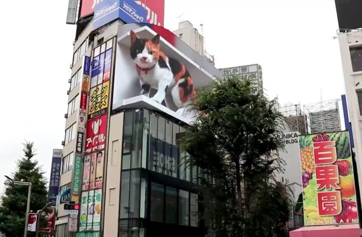 kot billboard 3d tokio
