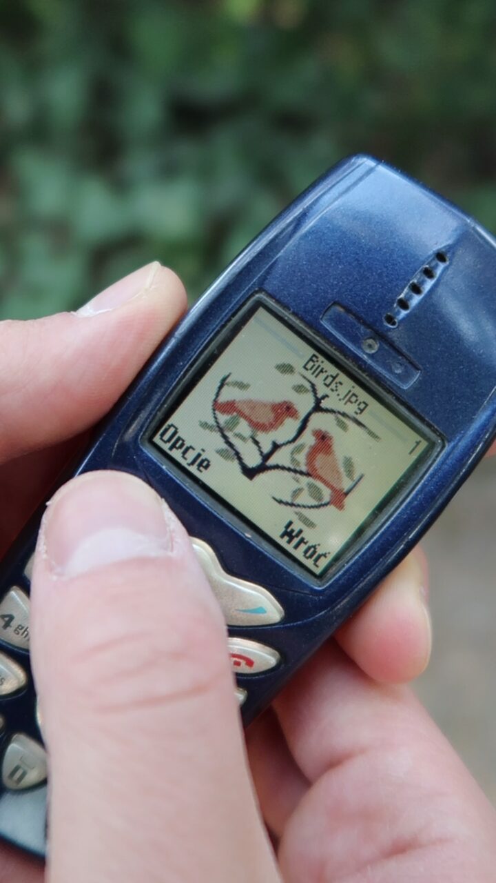 Nokia 3510i obrazki